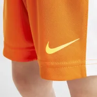 Nike Dri-FIT Toddler шорты набор Orange