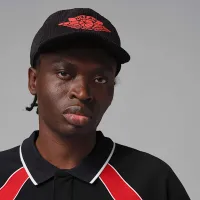 Nike Jordan Flight мужские Long-Sleeve Polo Jersey цвет черный