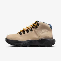 Nike Cygnal мужские Кроссовки цвет коричневый
