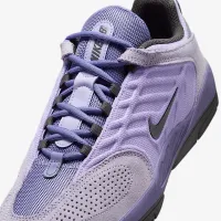 Nike SB Vertebrae мужские Кроссовки цвет фиолетовый