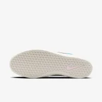 Nike SB Force 58 Premium Skate Кросівки блакитний