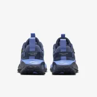 Nike InfinityRN 4 GORE-TEX женская Waterproof Road Running Кроссовки синий