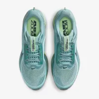 Nike Pegasus Premium мужские Road Running Кроссовки цвет зеленый