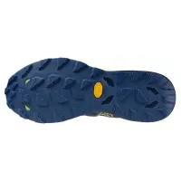 Кроссовки для бега w terenie Mizuno WAVE DAICHI 8 (J1GJ247102)