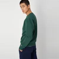 Кофта/футболка Champion Crewneck світшот 217863-GS568 - зелена