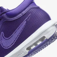 Nike LeBron Witness 8 баскетбольные Кроссовки цвет фиолетовый
