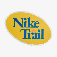 Nike Wildhorse 10 женская Trail Running Кроссовки синий