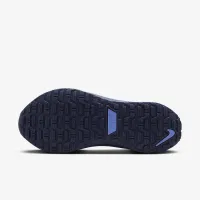 Nike InfinityRN 4 GORE-TEX женская Waterproof Road Running Кроссовки синий