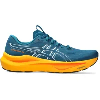 Кросівки для бігу Чоловічі ASICS GT-2000 14 (1011C056 404)