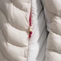 Nike ACG x United States Olympic Team чоловічі Therma-FIT ADV Куртка колір коричневий