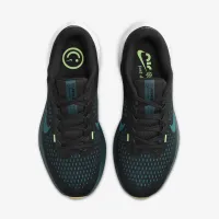Nike Winflo 10 мужские Road Running Кроссовки цвет черный