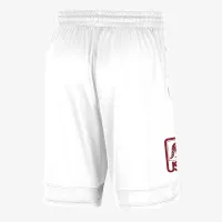 USC чоловічі Nike College шорти колір білий