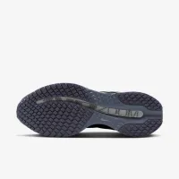 Nike Pegasus Premium мужские Road Running Кроссовки цвет серый
