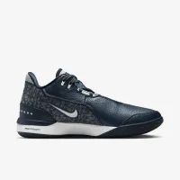 Nike LeBron NXXT Gen AMPD баскетбольные Кроссовки синий