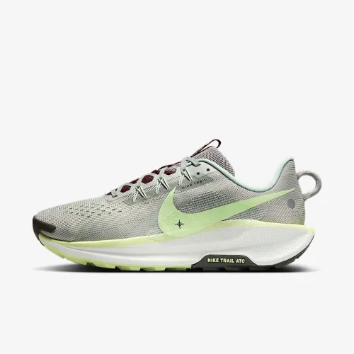Nike Pegasus Trail 5 мужские Trail Running Кроссовки цвет серый