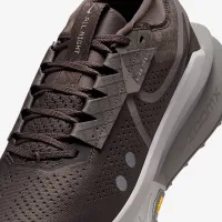 Nike Zegama 2 мужские Trail Running Кроссовки цвет коричневый