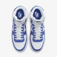 Nike Terminator High мужские Кроссовки цвет белый