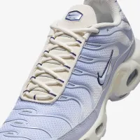 Nike Air Max Plus чоловічі Кросівки колір сірий