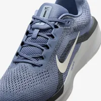 Nike Winflo 11 мужские Road Running Кроссовки синий