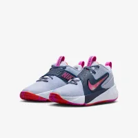 Nike Team Hustle D 12 Big детские баскетбольные Кроссовки цвет серый