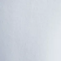 Nike Sportswear Phoenix Fleece женская оверсайз Crew-Neck свитшот (большие размеры) синий