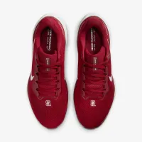 Stanford Pegasus 41 мужские Nike College Road Running Кроссовки цвет красный