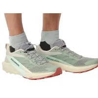 Кроссовки для бега Мужские Salomon SENSE RIDE 5 (472117)