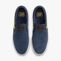 Nike SB Janoski+ Slip Skate Кросівки блакитний