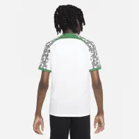 Nigeria 2022/23 Stadium Away Big дитячі Nike Dri-FIT Soccer Jersey колір білий