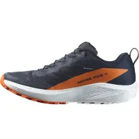 Кросівки для бігу Чоловічі Salomon SENSE RIDE 5 GTX Gore-Tex (474594)