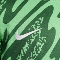 Paris Saint-Germain 2024 Stadium Goalkeeper Big дитячі Nike Dri-FIT Soccer Replica Jersey колір зелений