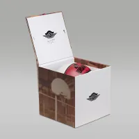 Nike Jordan Premium 8P баскетбольные цвет красный