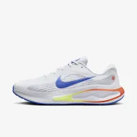 Nike Journey Run чоловічі Road Running Кросівки колір сірий