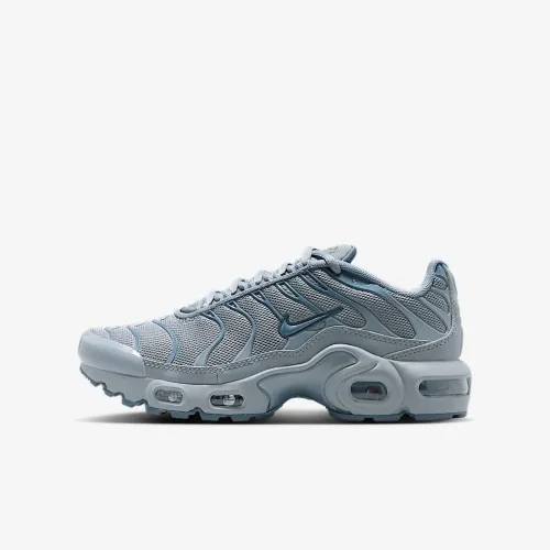 Nike Air Max Plus Big детские Кроссовки цвет серый