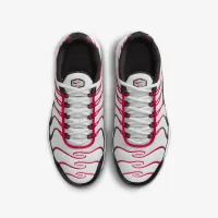 Nike Air Max Plus Big детские Кроссовки цвет серый