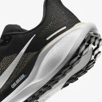 Colorado Pegasus 41 чоловічі Nike College Road Running Кросівки колір чорний