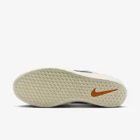 Nike SB Force 58 Skate Кроссовки цвет серый