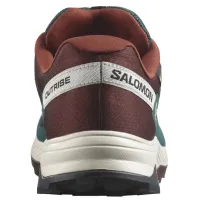 Кросівки для трекінгу SALOMON OUTRISE GTX Gore-Tex (471421)