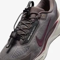 Nike Pegasus EasyOn чоловічі Road Running Кросівки колір сірий