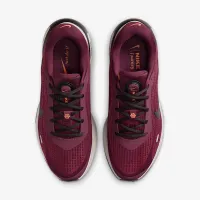 Nike Journey Run мужские Road Running Кроссовки цвет красный