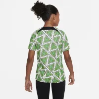 Nigeria Academy Pro Big дитячі Nike Dri-FIT Pre-Match Soccer Top колір зелений