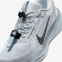 Nike Pegasus EasyOn чоловічі Road Running Кросівки колір сірий