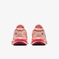 Nike Journey Run женская Road Running Кроссовки Pink