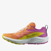 Кроссовки Salomon Sense Ride 5 L47459000 - разноцветная