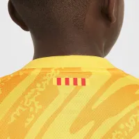 FC Barcelona 2024 Stadium Goalkeeper Big детские Nike Dri-FIT Soccer Replica Jersey Yellow