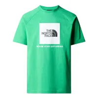 Футболка The North Face Raglan цвет красныйbox 0A87NJPO81 - зеленая