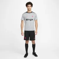 Chelsea FC Academy Pro Third мужские Nike Dri-FIT Soccer Pre-Match Top цвет серый