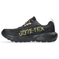 Кроссовки для бега Asics GEL-SONOMA 8 GTX Gore-tex (1012B770 003)