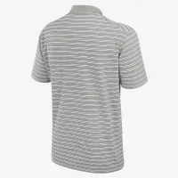 Michigan State Spartans Primetime Victory Striped мужские Nike Dri-FIT College Polo цвет серый