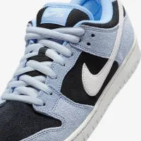 Nike SB Dunk Low Pro Skate Кроссовки синий